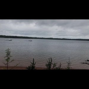 Meet your Posher, Jacklyn